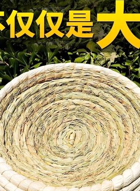 鸽子窝塑料鸽窝元宝圆环特大号繁殖下蛋草窝低价清仓鸽子用品用具