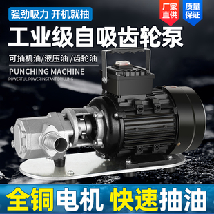 电动抽油泵220V380V自吸防爆不锈钢高粘稠度机油柴油食油齿轮油泵
