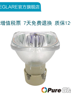 原装OPTOMA奥图码投影机EX539/PRO260X/PRO160S/ES529/EW539/DW312/PRO360W投影仪灯泡BL-FP200H