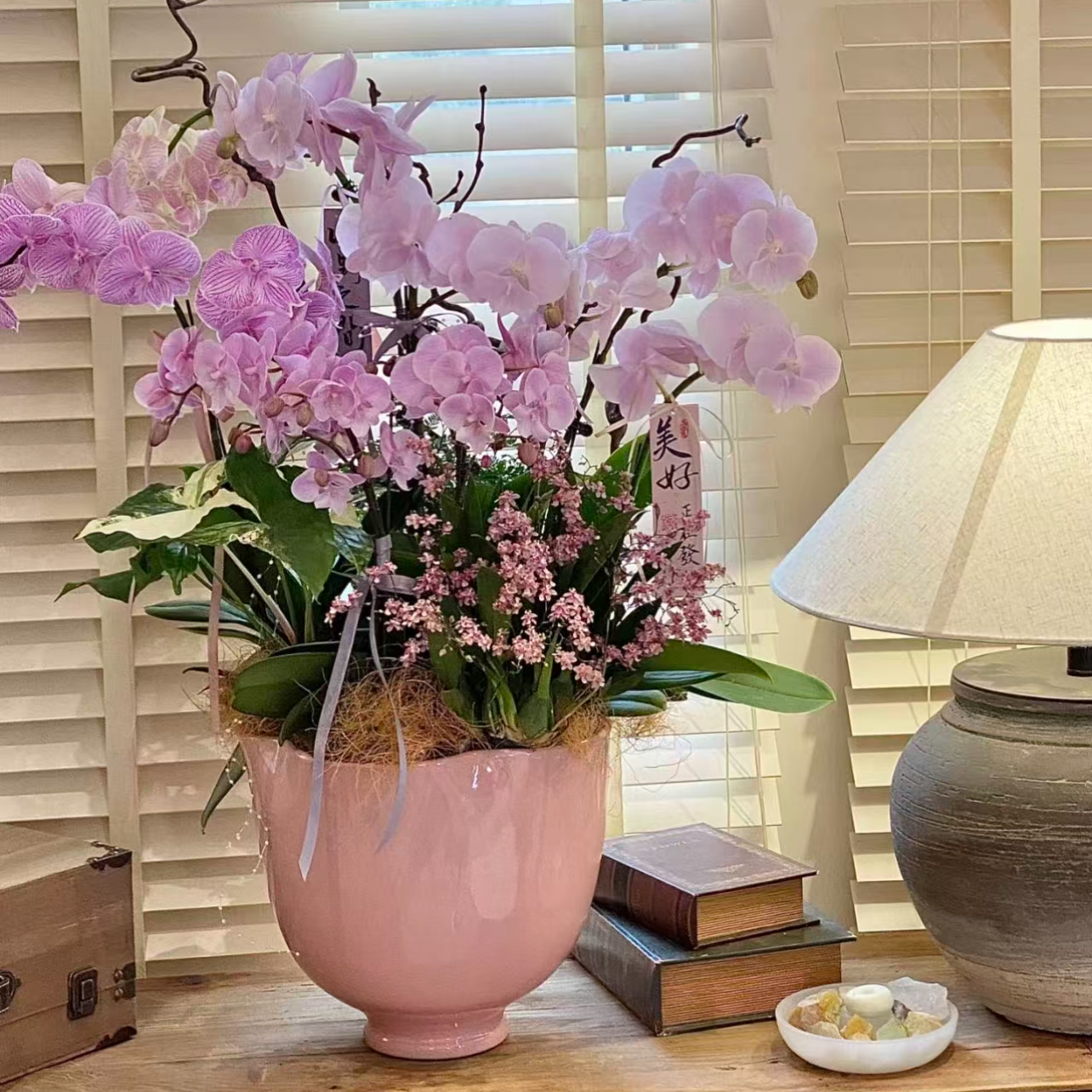 特大号蝴蝶兰大惠兰花盆轻奢设计创意个性蝴蝶兰百搭花器桌面有孔,鲜花速递/花卉仿真/绿植园艺,花盆,淘宝优惠券,粉丝福利购,淘宝优惠卷