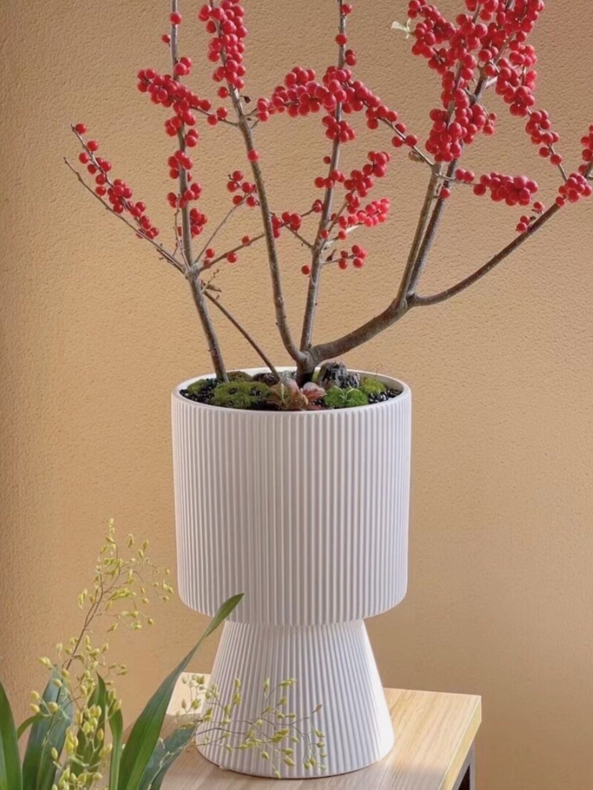 은버드나무 호랑가시나무 나비난초 진주유약 새해맞이 꽃통 가벼운 럭셔리 거실 꽃꽂이 화분 분재 화분