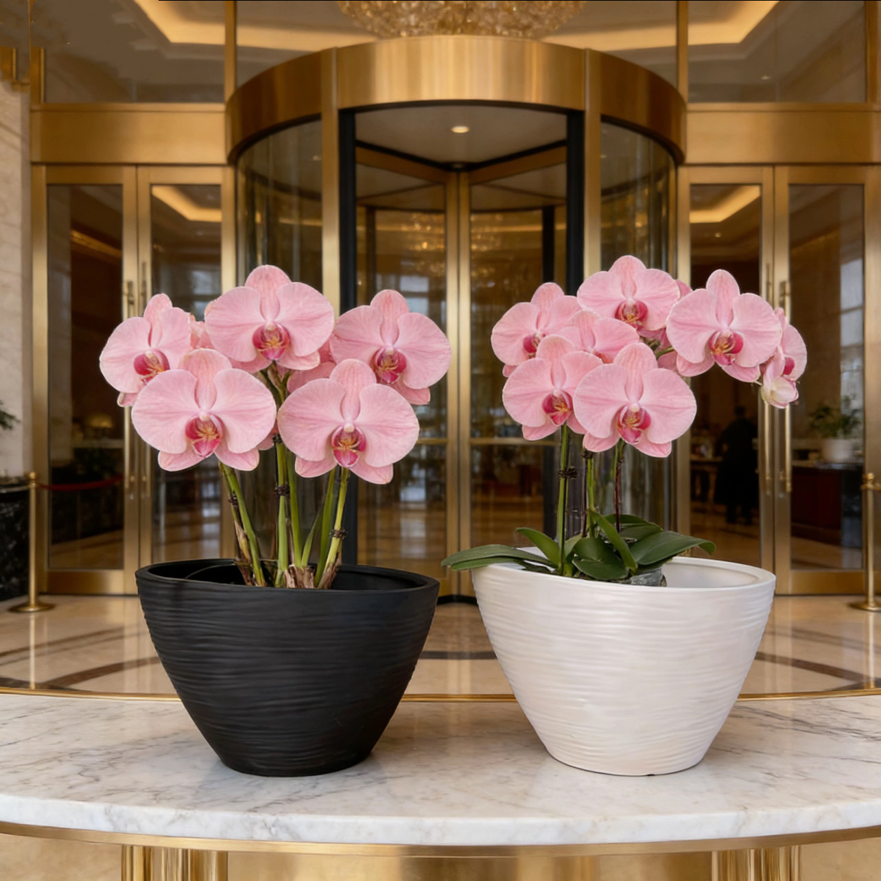 外贸花盆高级北欧极简风桌面家居陶瓷蝴蝶兰高档轻奢高级感花器,鲜花速递/花卉仿真/绿植园艺,花盆,淘宝优惠券,粉丝福利购,淘宝优惠卷