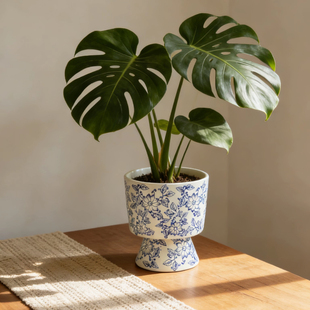 青花瓷蝴蝶兰陶瓷花盆高级感室内装饰复古瓷器兰花套盆绿植专用盆