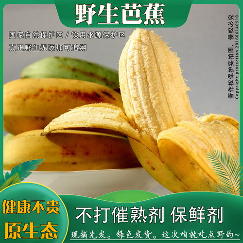 高山自然熟野生大芭蕉酸甜新鲜牛角蕉母婴放心吃水果养生药食兼用