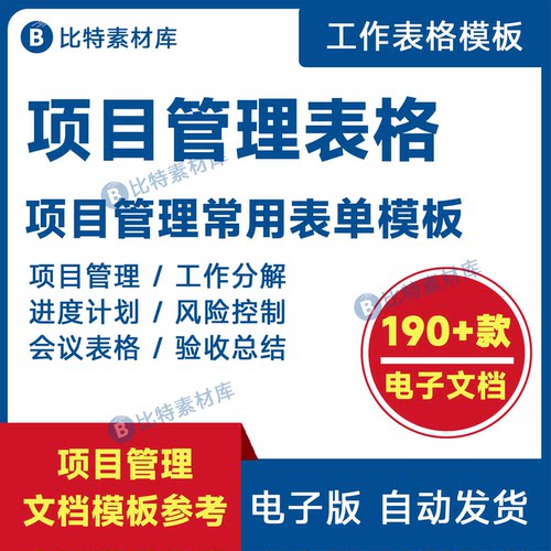 项目管理表格模板需求分析WBS工作分解进度计划风险管理总结表单