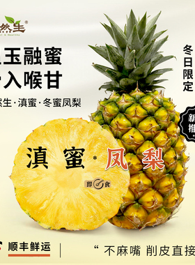 润然生 正宗云南西双版纳冬蜜凤梨脆甜多汁芒果凤梨现摘水果纯甜