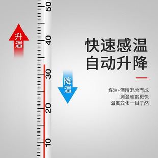 红水温度计室内家用测水温测量计工业用玻璃温度表水温计水银鱼缸