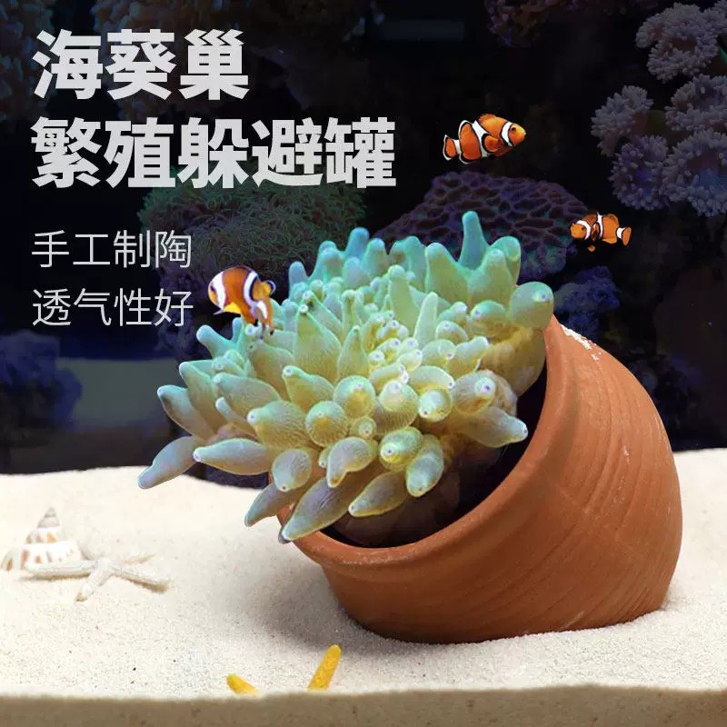 海葵窝巢奶嘴窝地毯屋窝奶嘴杯图片