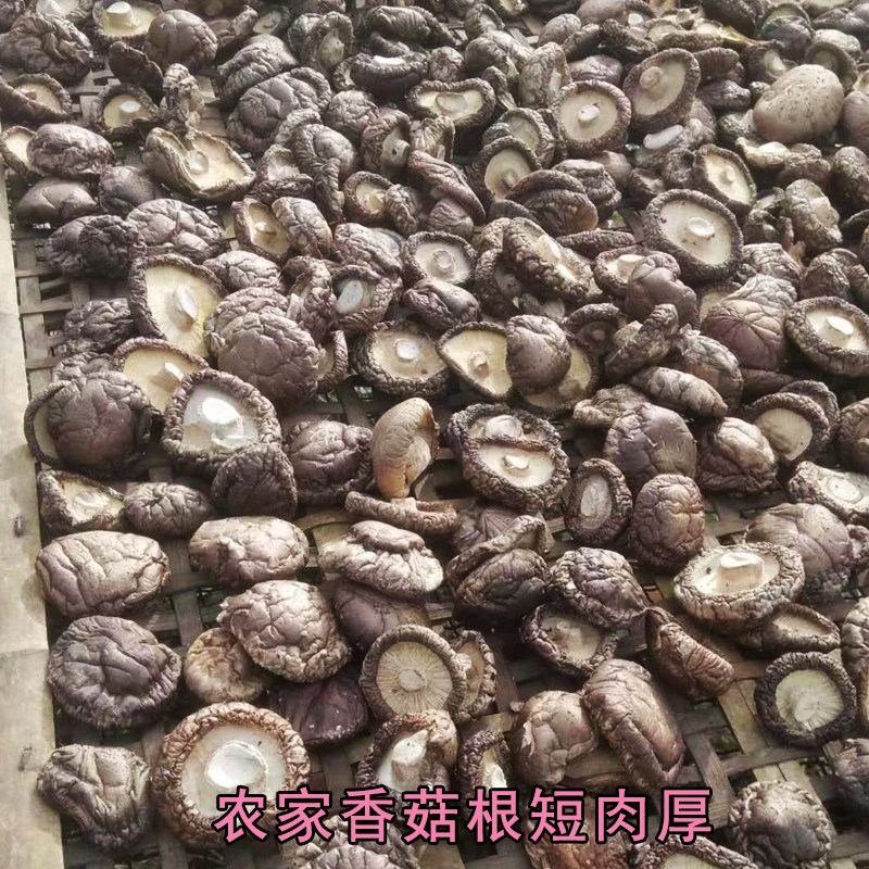 西峡香菇厚菇农家冬菇伏牛山南阳椴木菌菇自产双剪干货500g包邮,粮油调味/速食/干货/烘焙,香菇类,淘宝优惠券,粉丝福利购,淘宝优惠卷