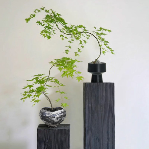 流泉枫盆栽客厅书房造型侘寂风