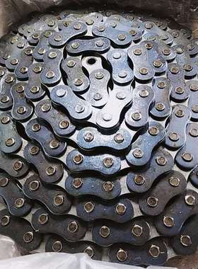 德国原装进口IWIS链条 JWIS20B-1进口传动滚子链条高堡印刷机链条