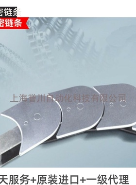 进口链条平板链IWIS LR4810 德国伊维氏IWIS ISO606原装进