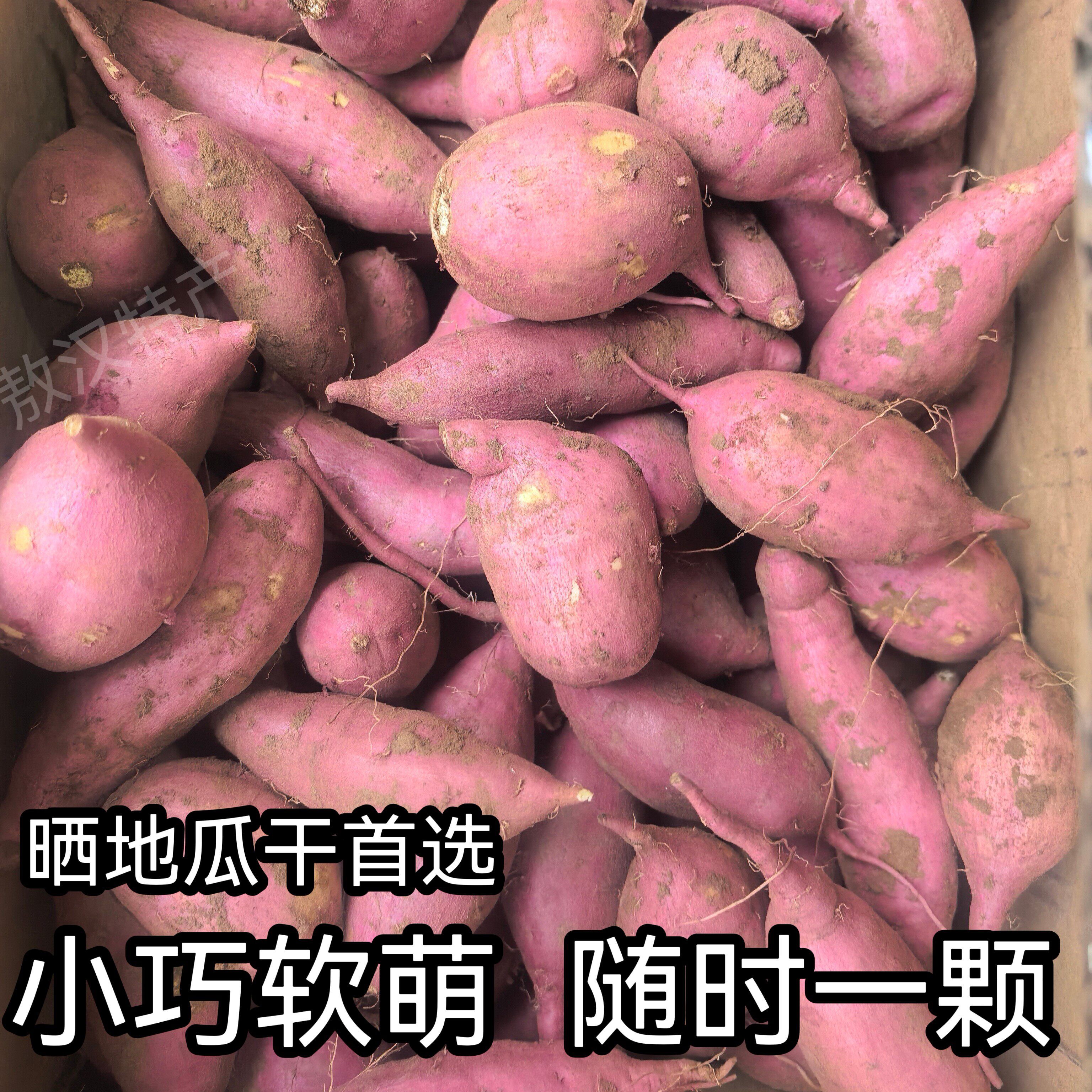 小红薯番薯小个迷你红薯仔烤呼地番薯