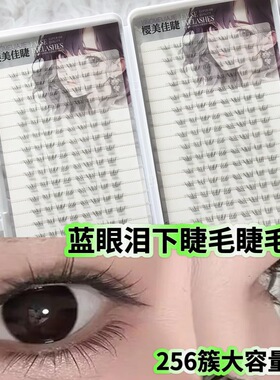 达人推荐假睫毛蓝眼泪下睫毛浪漫睫毛书初学者单簇仿真自然毛流感