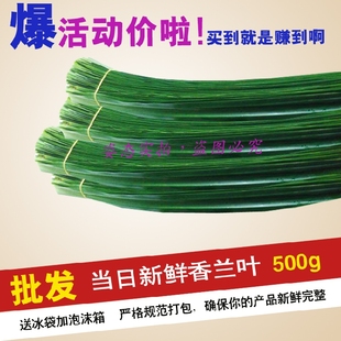 新鲜香兰叶 班兰叶 斑斓叶 千里香 新鲜泰国香兰叶 班兰叶 500g