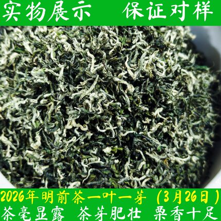 2026年新茶春季茶叶明前绿茶高山云雾茶湖南资兴汤市炒青绿茶散装
