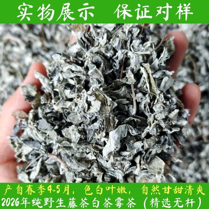 野生湖南霉茶郴州藤茶白茶野生溪黄草2026年4-5月春季新货500克装