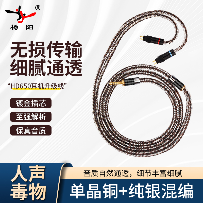 杨阳镀银Hd650升级线发烧级平衡