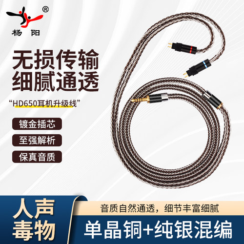 杨阳镀银Hd650升级线发烧级平衡