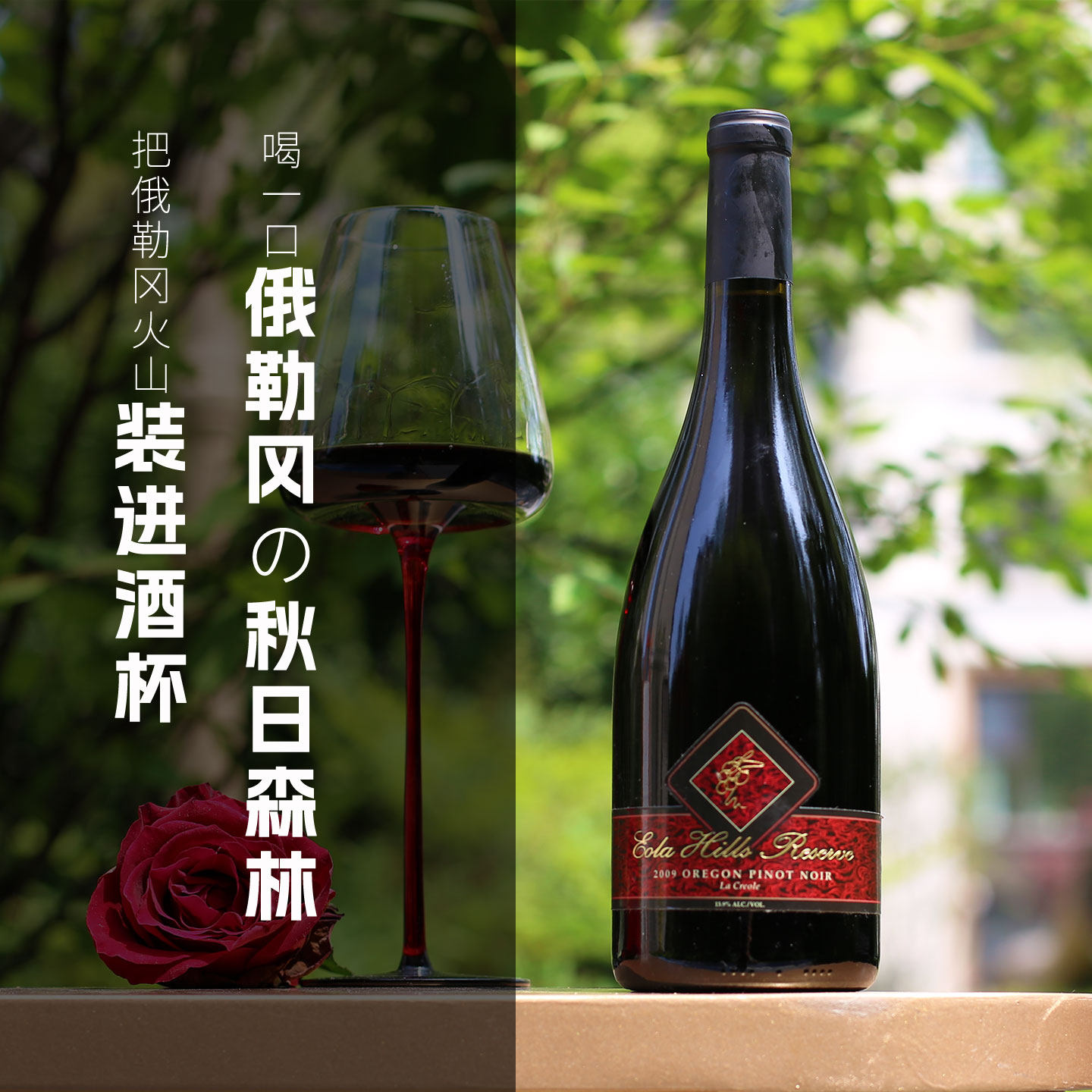 红玫瑰花瓣香 美国 俄勒冈州 威廉姆特谷产区 黑皮诺干红葡萄酒