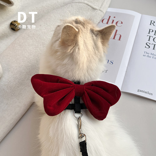 猫咪牵引绳高颜值小奶猫小型幼犬外出防走丢专用防挣脱遛猫溜狗绳