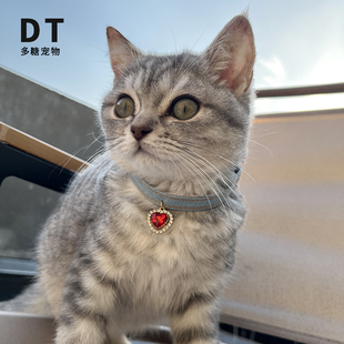 手工宠物爱心项圈狗狗猫咪颈圈项链德文领结铃铛小型犬猫猫狗手链