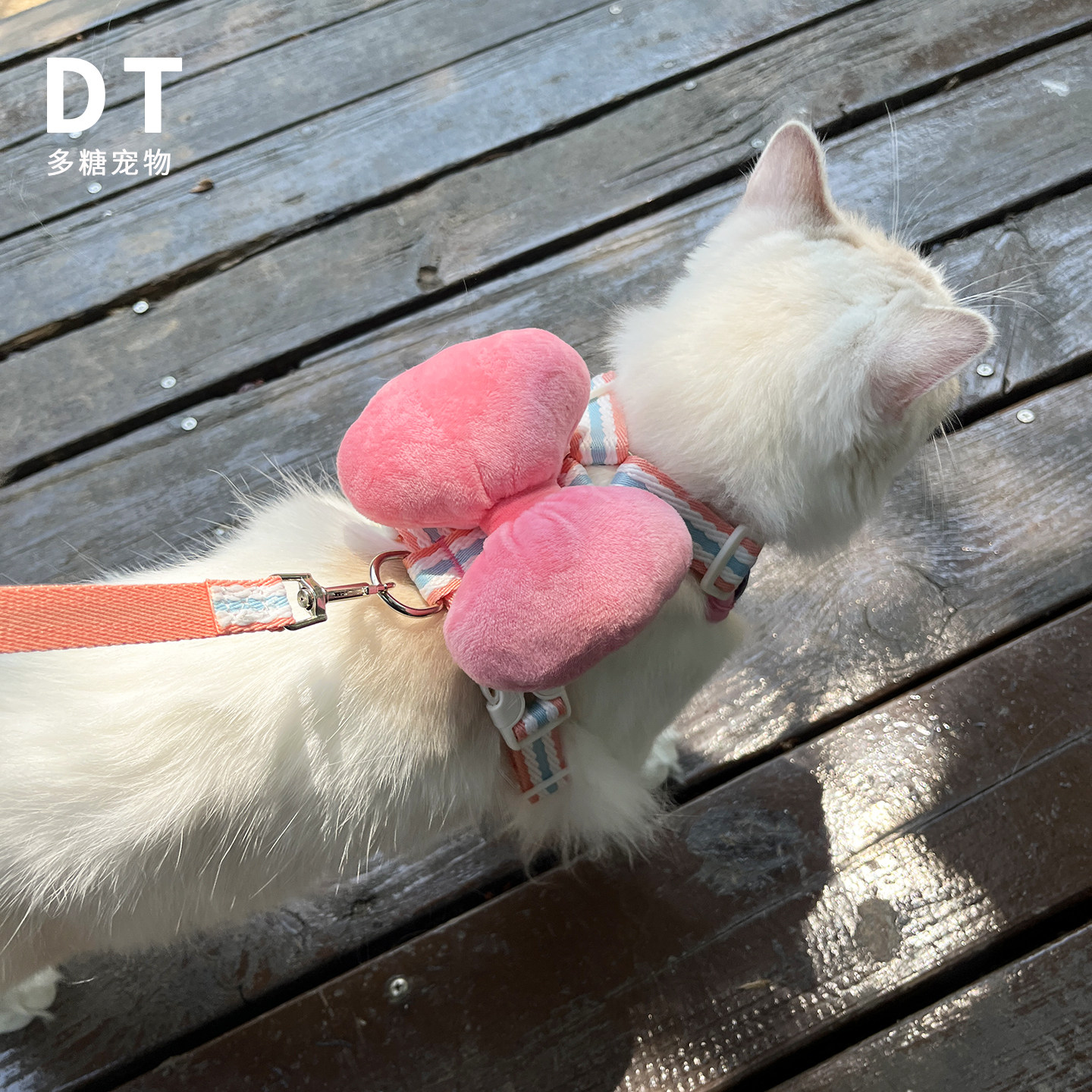 秋冬猫咪外出防挣脱牵引绳英短背心式遛猫绳猫链子小奶猫绳工字型,宠物/宠物食品及用品,猫牵引绳,淘宝优惠券,粉丝福利购,淘宝优惠卷