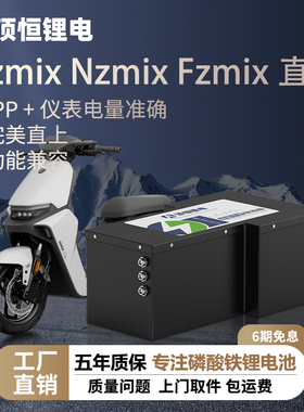 顶恒适用于九号Mzmix Nz  电摩台铃磷酸铁锂电池直上大容量电池