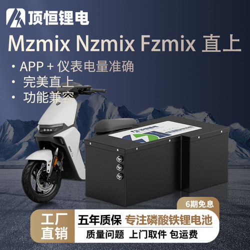 顶恒磷酸铁锂电池九号MzNz台铃