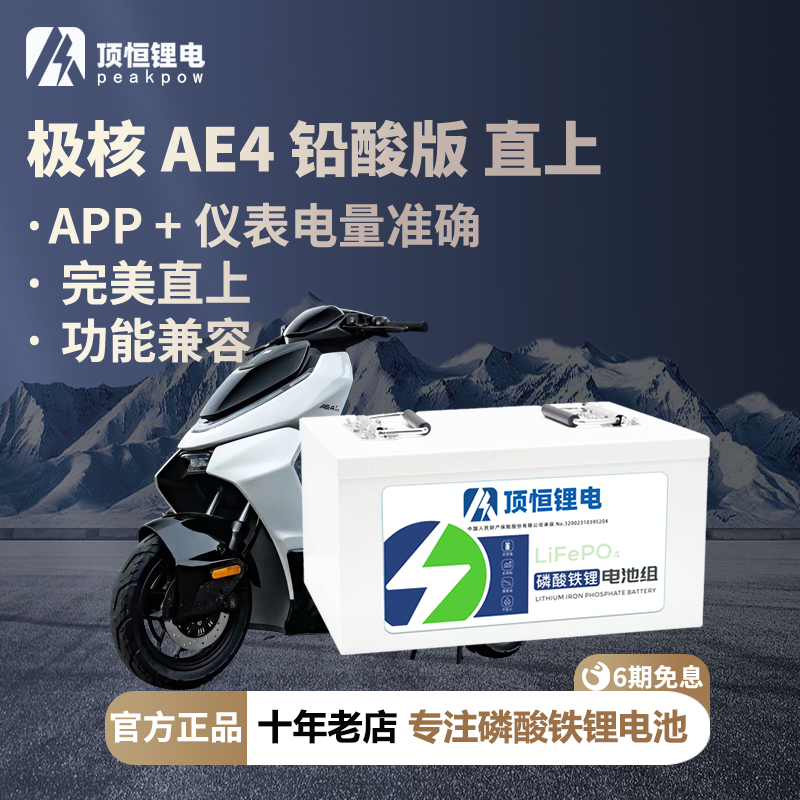 顶恒 极核25款AE4 直上二轮电动摩托车铅酸版电动车磷酸铁锂电池