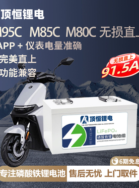 顶恒适用于九号M5M3N3系列M95c M85c M80c二轮电动车磷酸铁锂电池