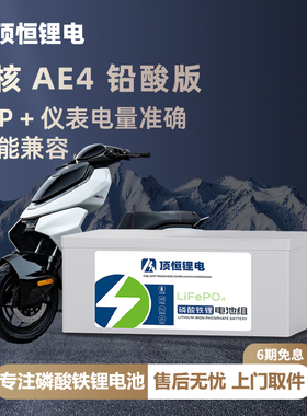 顶恒适用于极核25款AE4 MY25二轮电动摩托车铅酸版磷酸铁锂电池