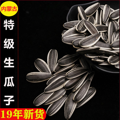 手工精选内蒙古特级生瓜子 大颗粒葵花籽生葵瓜子19新货3斤装包邮