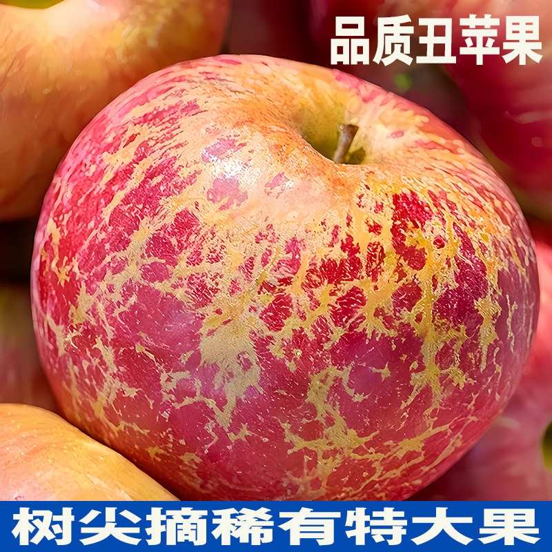 树尖稀有好果 特大果冰糖心红露丑苹果云南昭通产地现摘新鲜水果