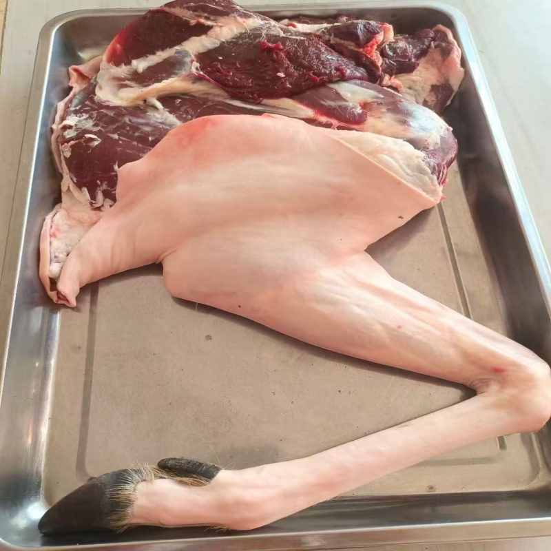 东北特产吉林梅花鹿肉新鲜鹿腿整只10斤带蹄子带皮带筋的才正宗