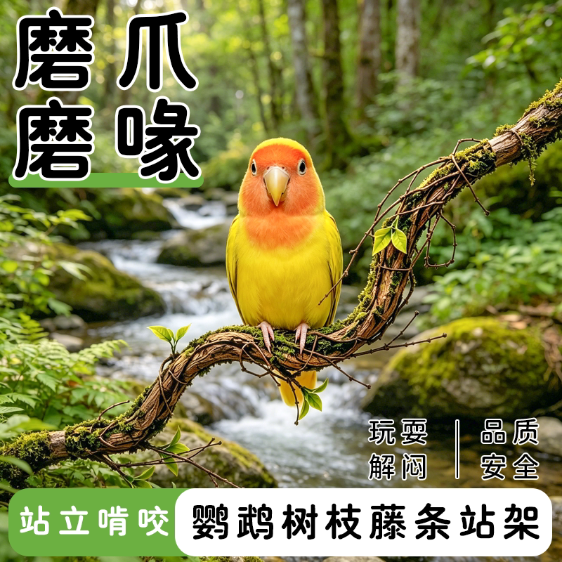 鹦鹉树枝藤条站架解闷鸟玩具图片