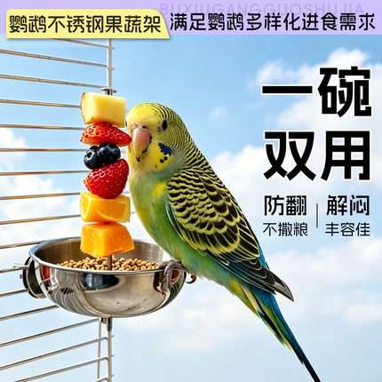 鹦鹉水果叉不锈钢喂食碗虎皮玄凤牡丹小太阳趣味喂食果蔬架鸟用品