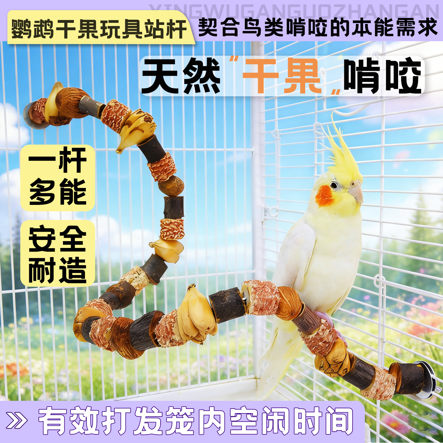 鹦鹉啃咬干果站杆玩具虎皮玄凤小太阳磨爪磨喙健齿啃咬玩具站台