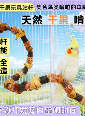 鹦鹉啃咬干果站杆玩具虎皮玄凤小太阳磨爪磨喙健齿啃咬玩具站台