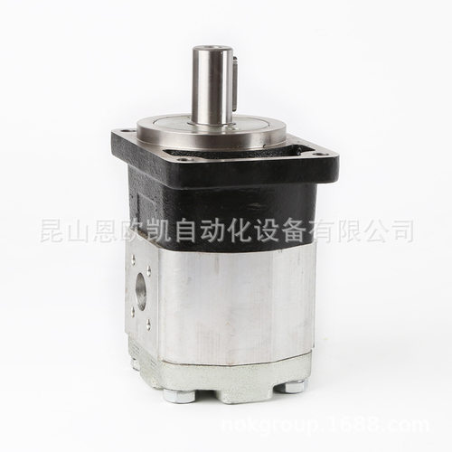 原装正品供应BUCHER齿轮泵AP212/