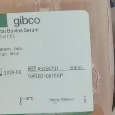 赛默飞thermoHypersilGOLD?Amino