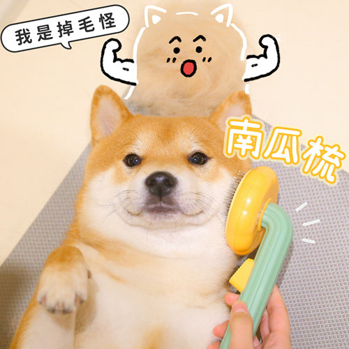星酱家狗狗梳毛梳子去浮毛