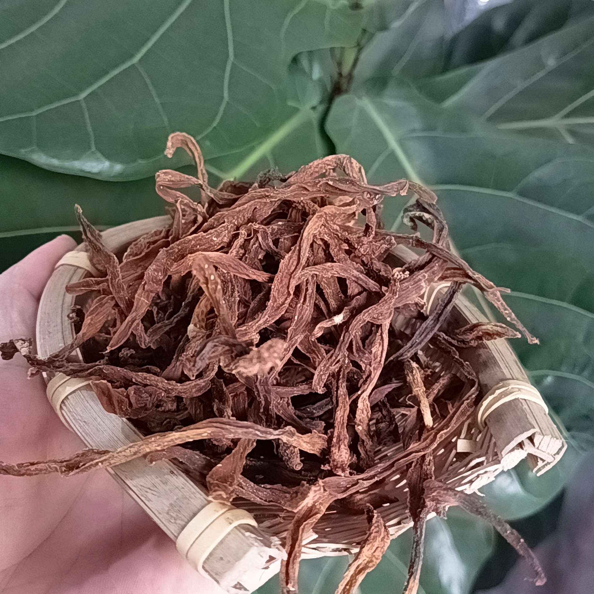 广东怀集竹笋干肇庆新鲜无硫纯天然野生农家竹笋晒干散装笋尾丝