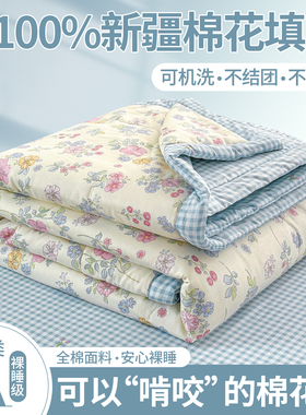 新款小清新款里外全棉纯棉夏被夏凉被空调被AB版不结团新疆棉花