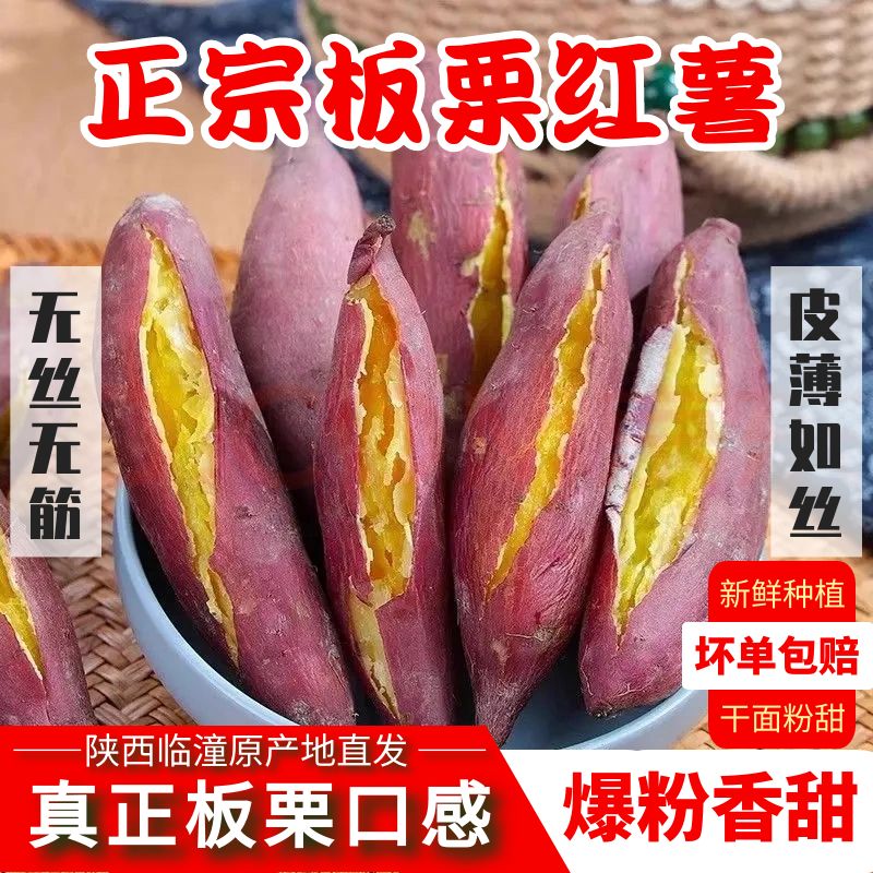 【平台推荐】正宗沙地板栗红薯图片