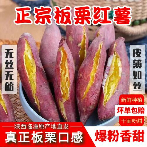 【平台推荐】正宗沙地板栗红薯