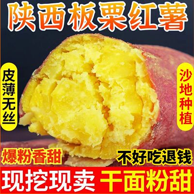 【平台推荐】正宗沙地板栗红薯