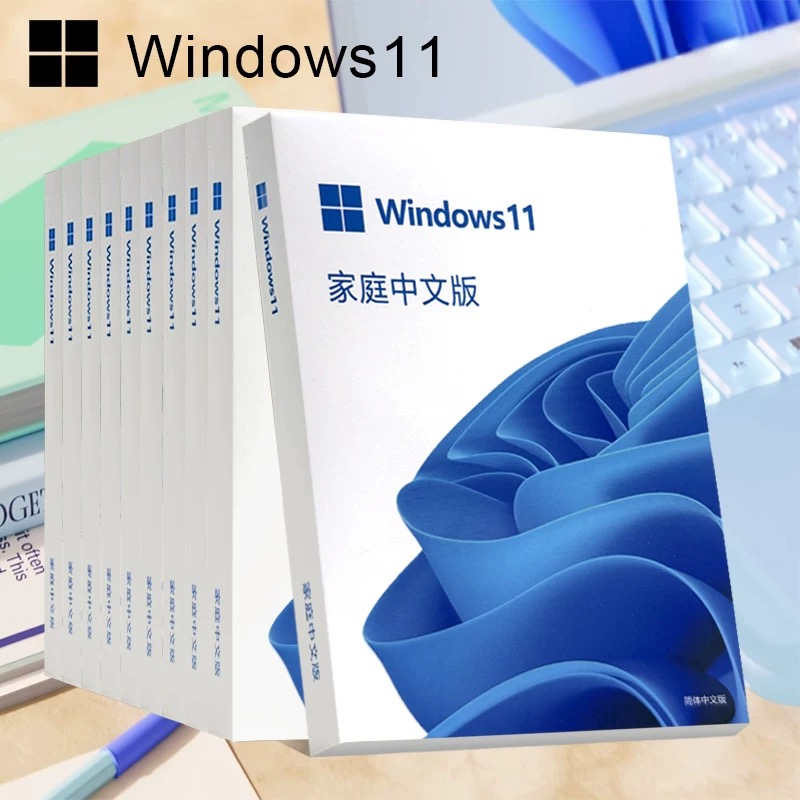 正版Windows11家庭版系统u盘彩盒电脑重装安装u盘