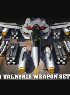 现货 Hasegawa 超時空要塞 VF-1 女武神武器套裝 65654 组装模型