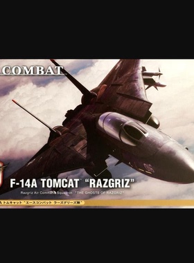 Hasegawa 1/72 SP313 F-14A 雄猫 空战奇兵拉兹格里兹中队 52113